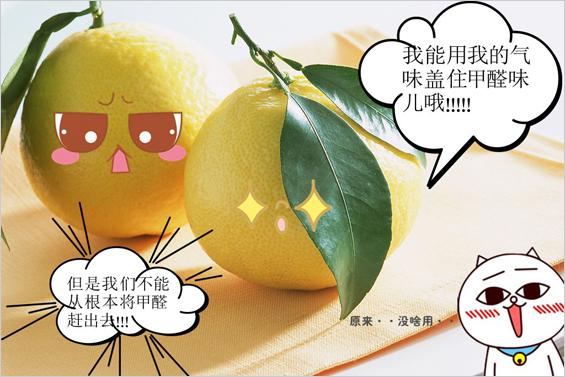 這些新房入住注意事項你都知道嗎？